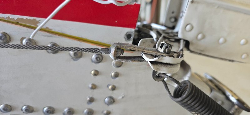 20250805_112818(1).jpg